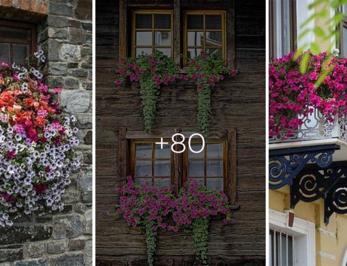 Ako si spraviť malý kúsok raja u vás na balkóne? 80 nádherných rozkvitnutých balkónov a okien pre inšpiráciu