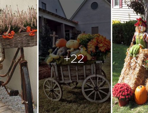 Preneste si JESEŇ aj na váš dvor! 20+ dôvodov, prečo naladiť záhradu do jesenných farieb