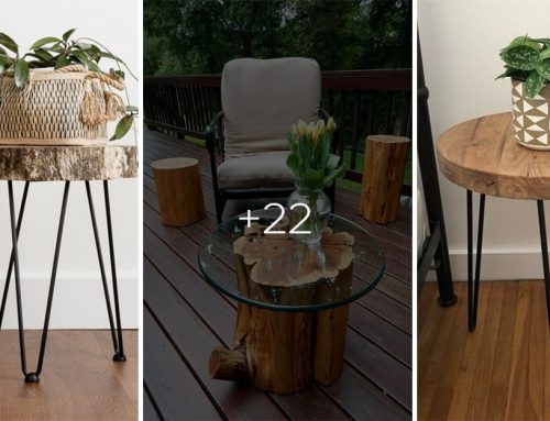 Originálny stolík do obývačky získate odrezaním plátu z kmeňa stromu. Inšpirujte sa fantastickými nápadmi