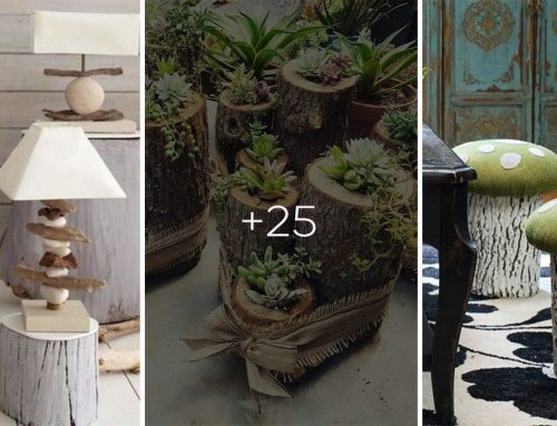 25 kreatívnych nápadov, ako využiť peň stromu v interiéri a spraviť si tak bývanie jedinečné
