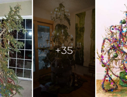 Najškaredšie vianočné stromčeky: Tieto by ste doma v obývačke mať asi nechceli