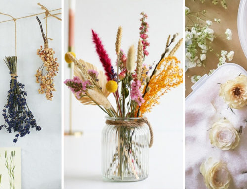 3 jednoduché spôsoby, ako vysušiť kvety do vašich dekorácií