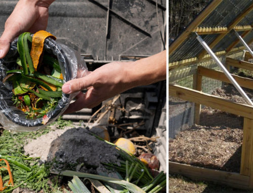 Nemáte ešte na záhrade kompostér? Ako si ho vyrobiť svojpomocne a niekoľko dôvodov, prečo si ho musíte určite zaobstarať!