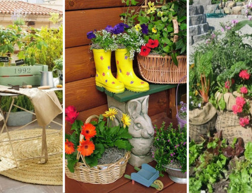 50 lacných a jednoduchých záhradných nápadov: Vytvorte si krásnu záhradu s minimálnymi nákladmi