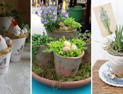 Vyberte staré kvetináče z pivnice a pripravte si nádherné jarné a veľkonočné dekorácie. Jar už je za rohom!
