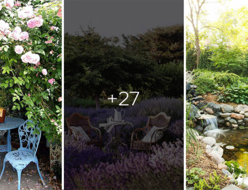 Romantické zákutia pre dvoch. 27 nádherných inšpirácií, ako si na záhrade vytvoriť miesto pre romantické posednie