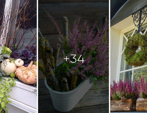 Vonkajšie kvetináče ešte určite neschovávajte. 30 nádherných nápadov, ako môžu na jeseň opäť ožiť farbami